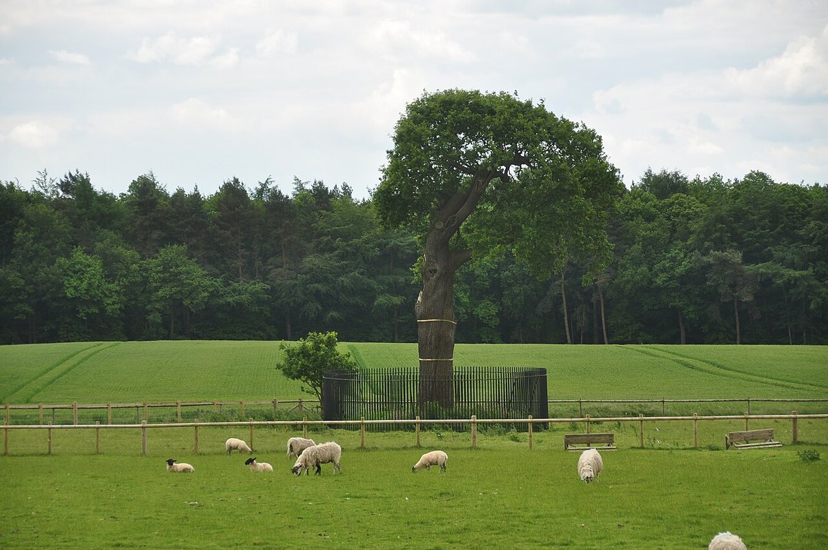Boscobel House and the Royal Oak, further view