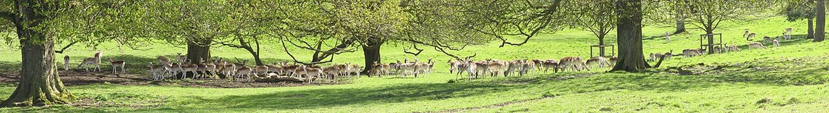 Dyrham Park, further view