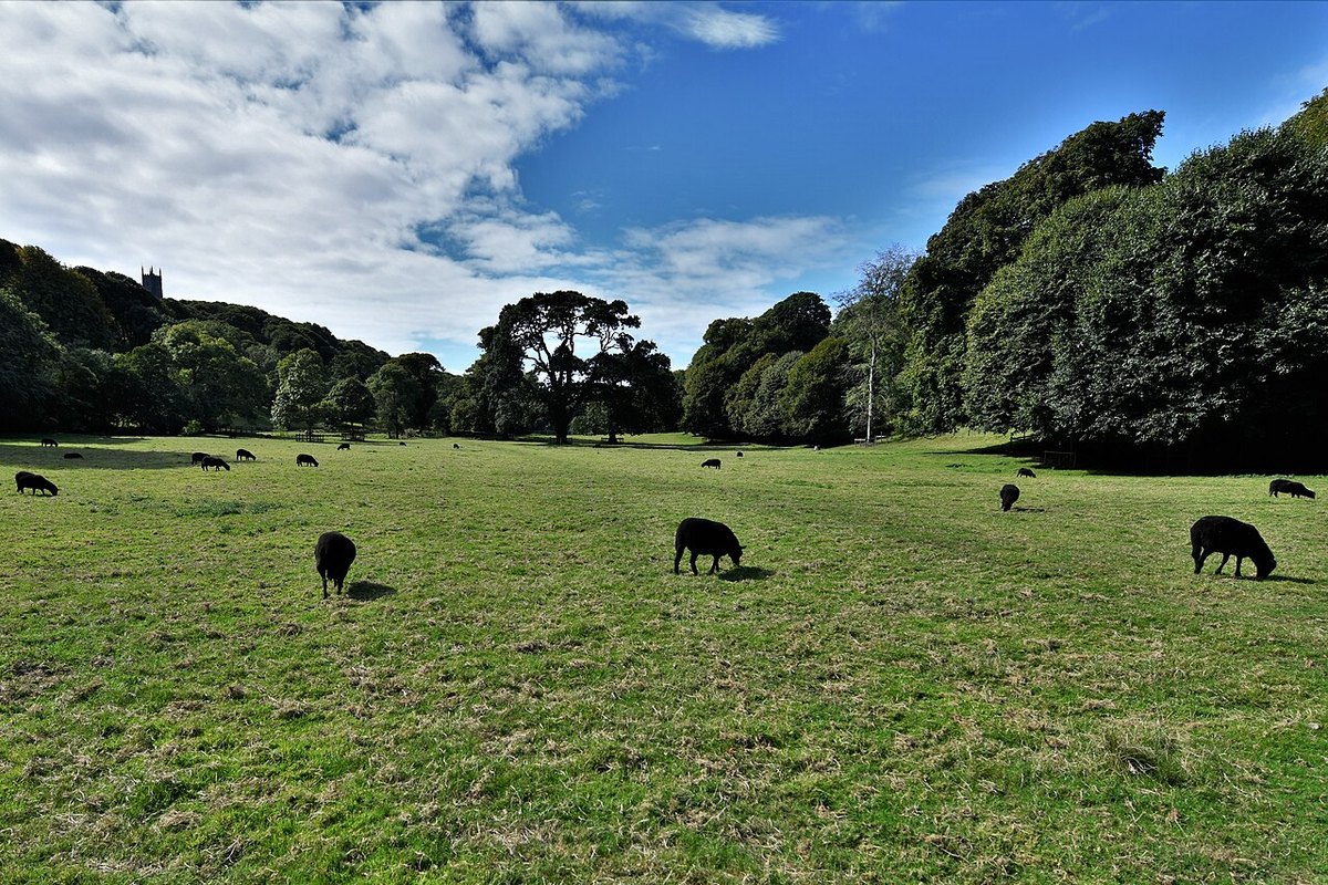 Hartland Abbey, further view