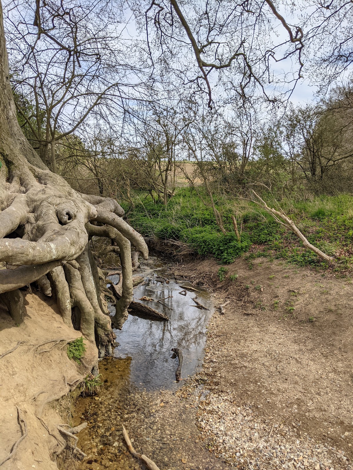 Ickworth