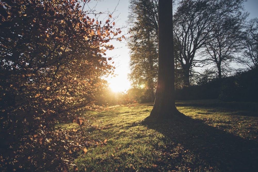 Montalto Estate
