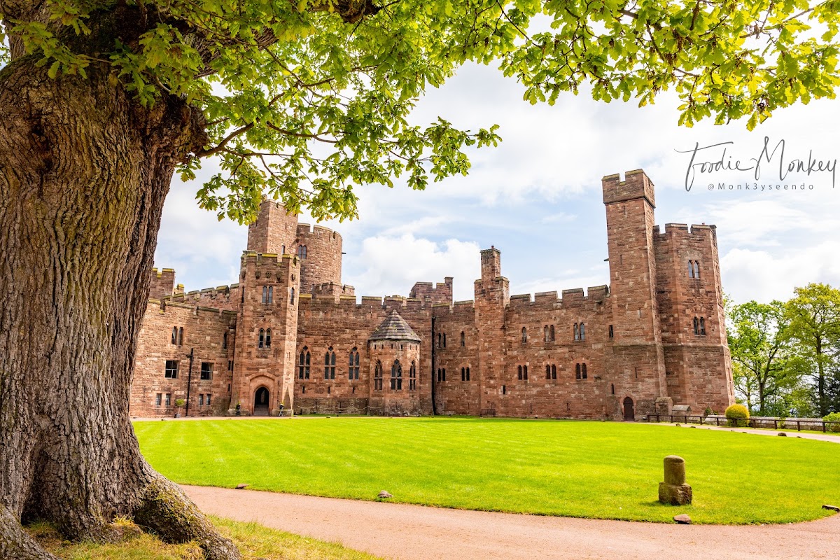 Peckforton Castle, further view