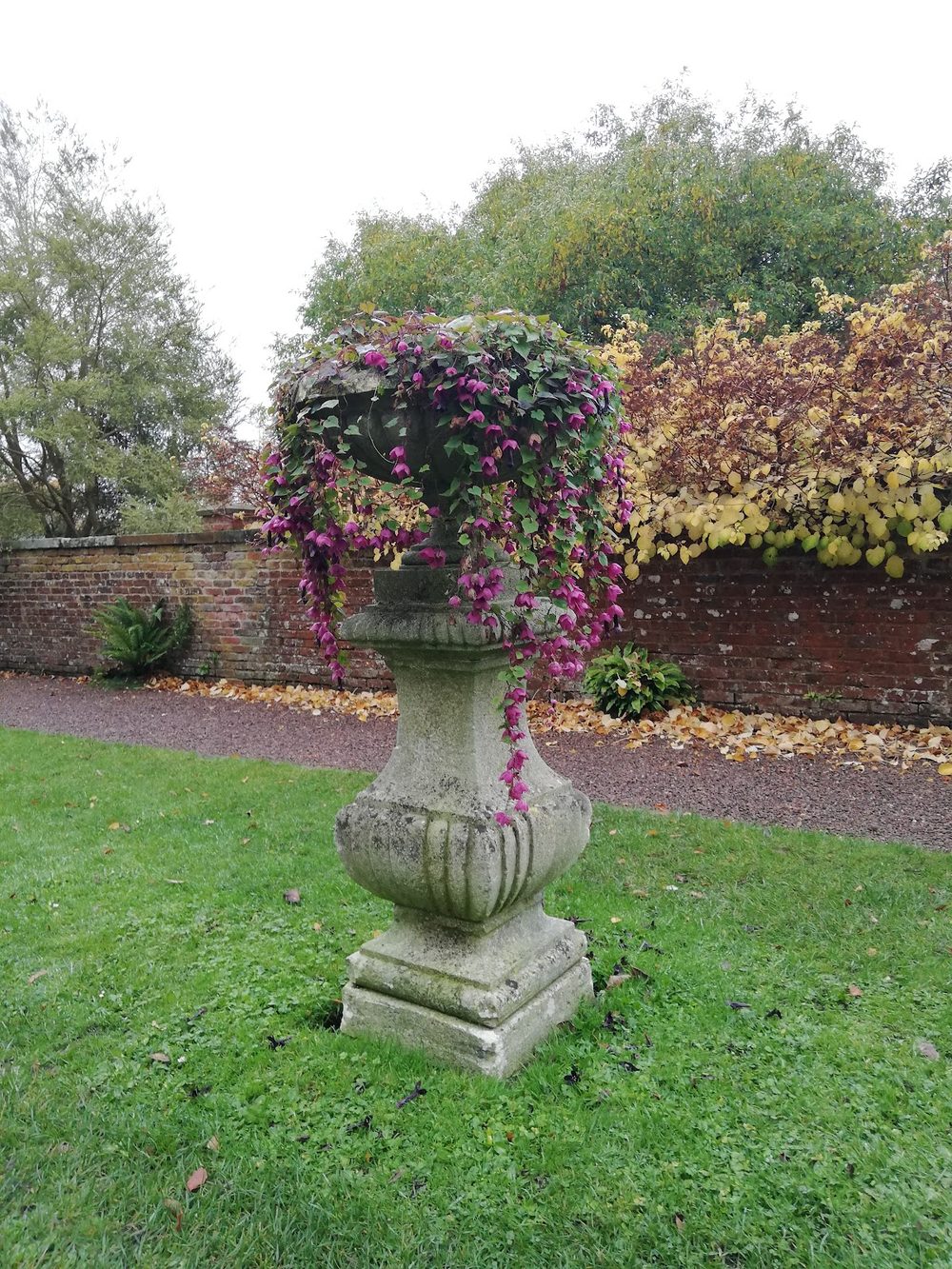 Wallington